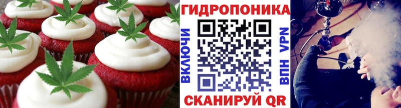 Canna-Cookies конопля  мега ссылки  Кисловодск  дарнет шоп 