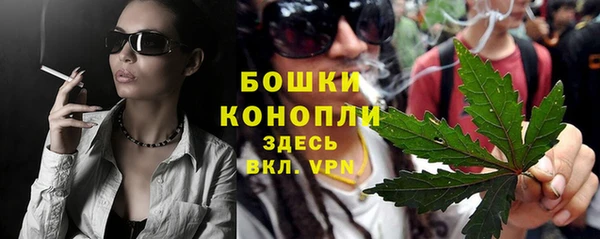 стаф Бородино