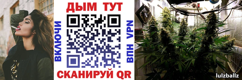 Каннабис OG Kush  Кисловодск 